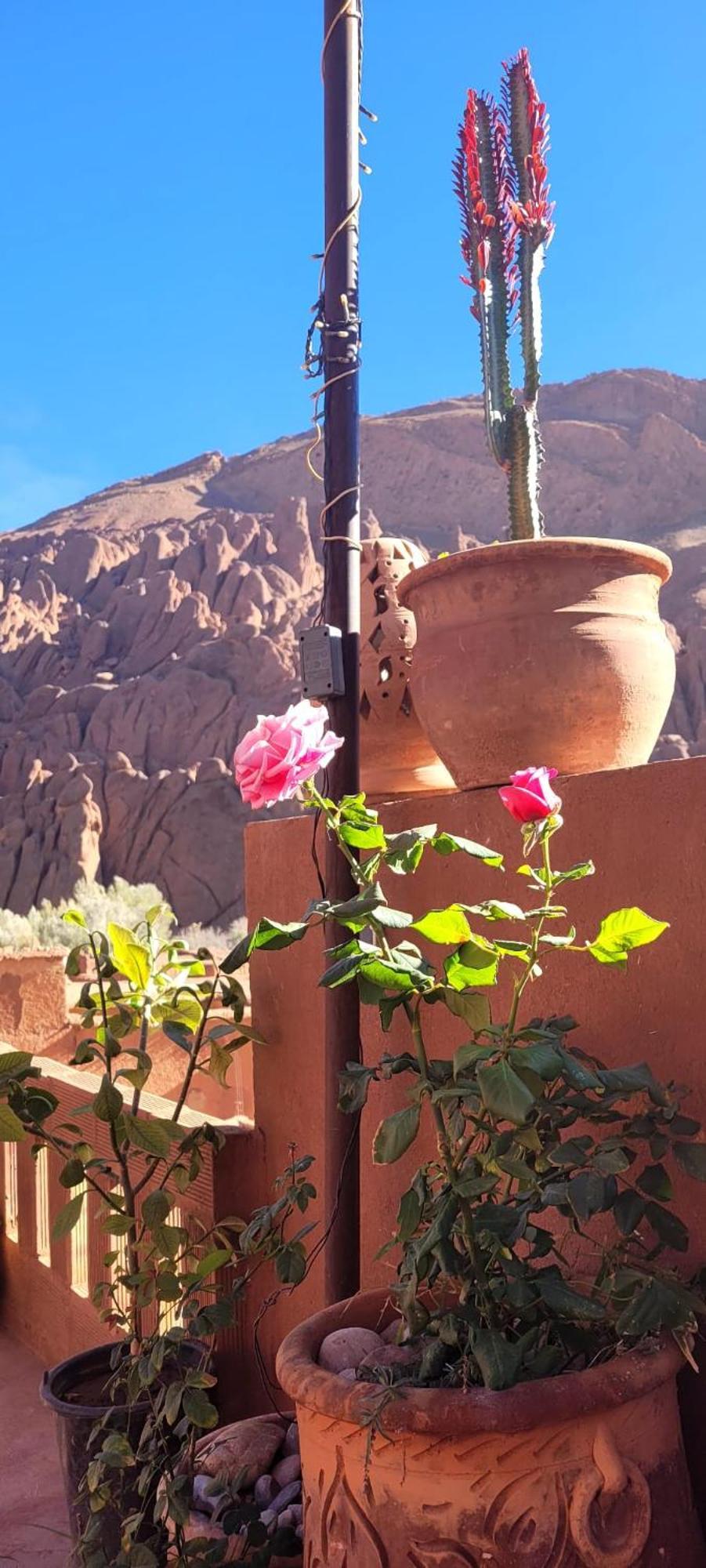 Tafsut Dades Guesthouse Stay With Locals Tamellalt  Exteriör bild